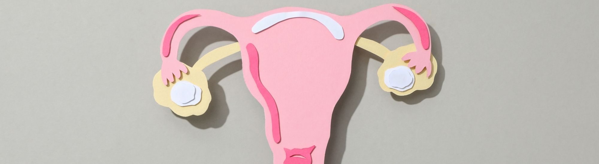 Menopause After Ovarian Cancer: What You Need to Know