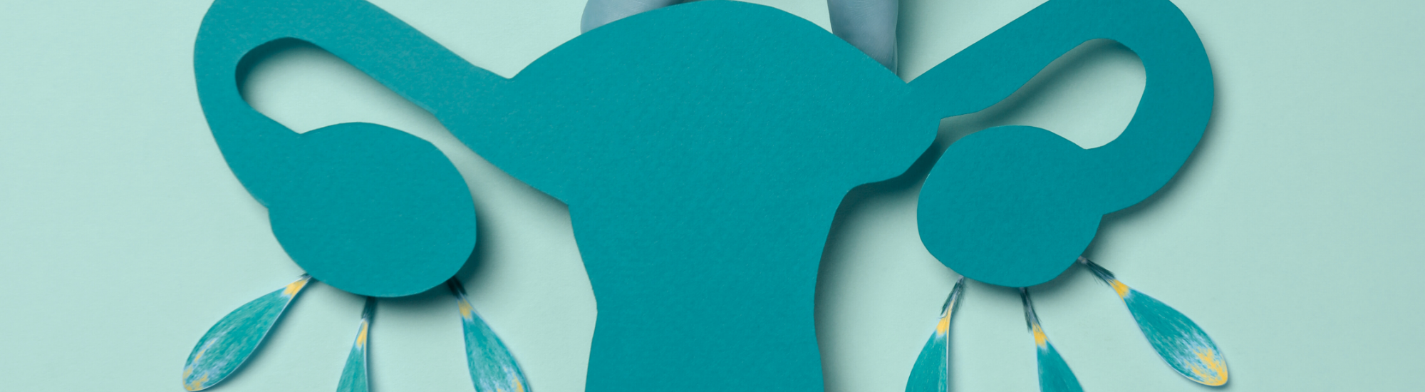 Menopause After Ovarian Cancer: Ways to Manage Symptoms