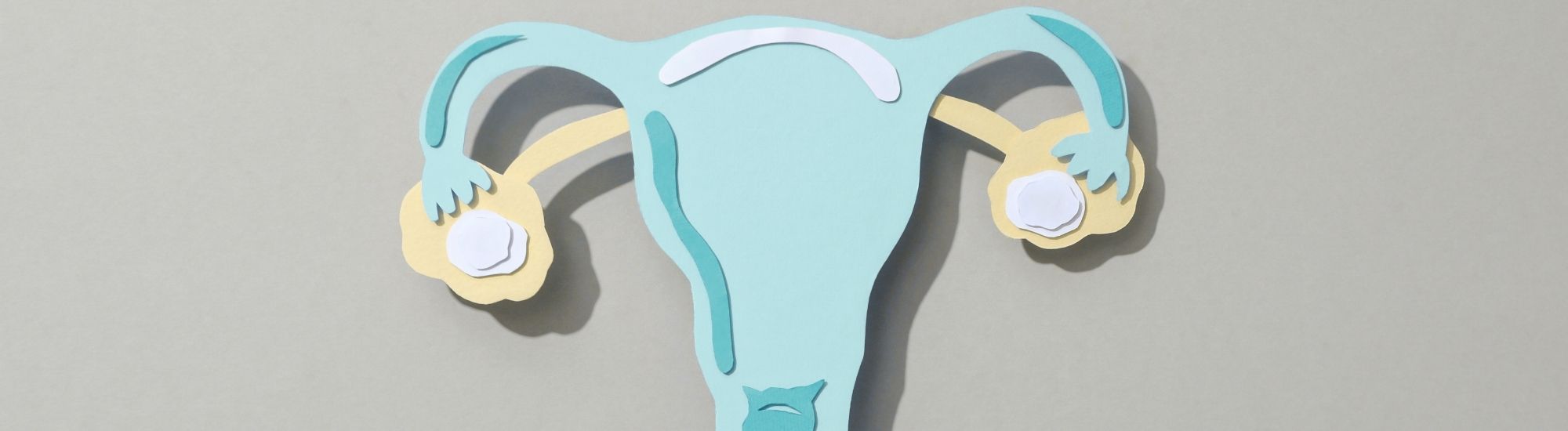 Menopause After Ovarian Cancer: Hormones, Health, and Healing